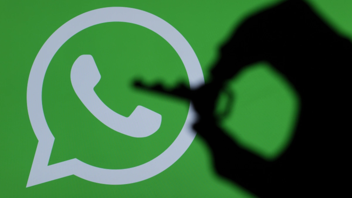 WhatsApp Number Detection